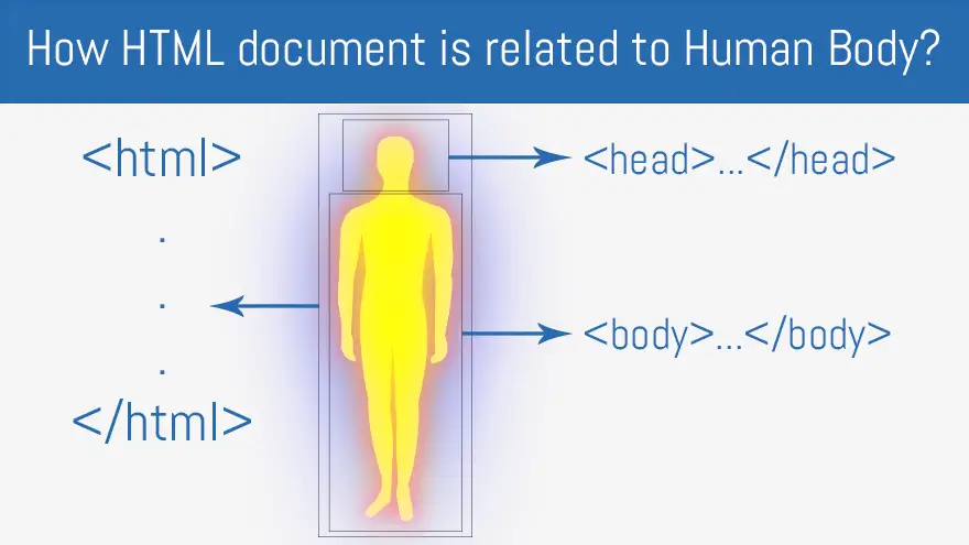 How HTML document is related to Human Body?