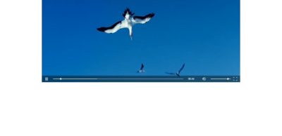 best free html5 video player best free html5 video player